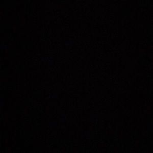 Meet your Posher, Lonnie